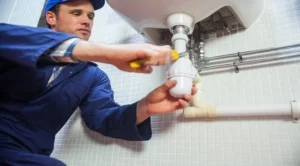Professional Plumbing