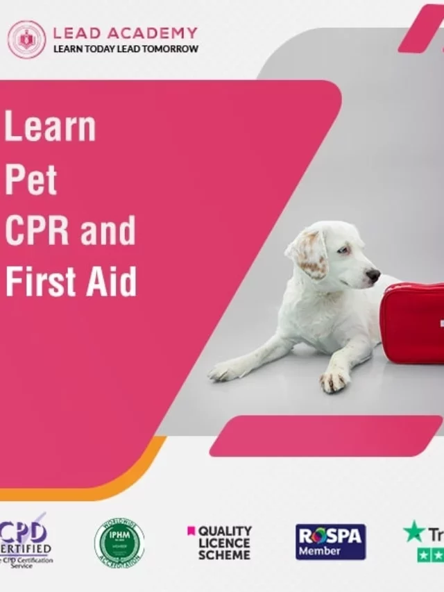 Pet CPR and First Aid Certification Course Online