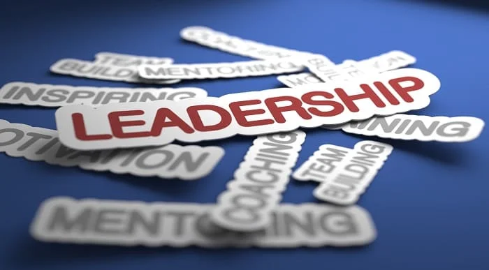 Leadership & Management Diploma – 8 Courses Complete Bundle